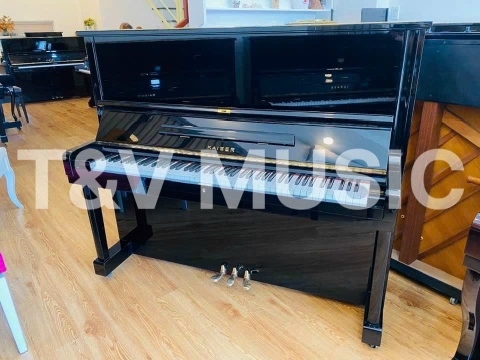 Bộ Sưu Tập Đàn Piano Upgright