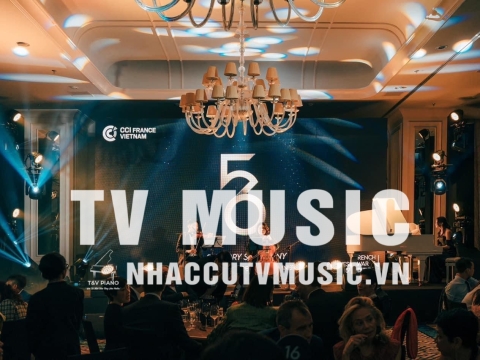 Bộ Sưu Tập Đàn Piano Upgright