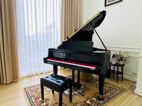 Bộ Sưu Tập Đàn Piano Upgright