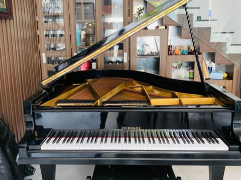 Bộ Sưu Tập Nhà Khách 