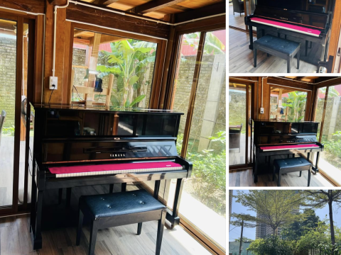 Bộ Sưu Tập Nhà Khách 