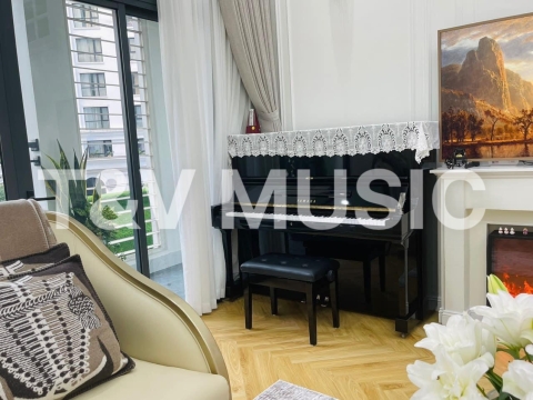 Bộ Sưu Tập Đàn Piano Upgright