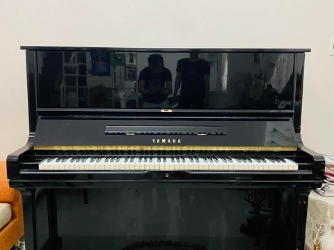 Bộ Sưu Tập Nhà Khách 