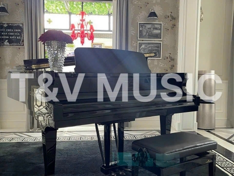 Bộ Sưu Tập Đàn Piano Upgright