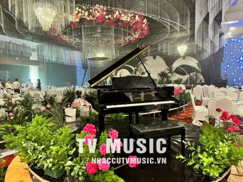 Bộ Sưu Tập Đàn Piano Upgright