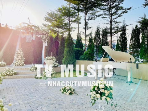 Bộ Sưu Tập Đàn Piano Upgright