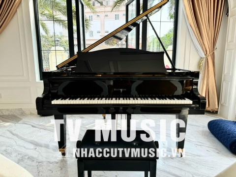 Bộ Sưu Tập Nhà Khách 