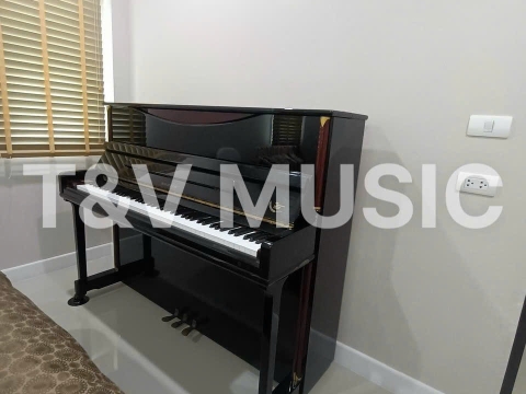 Hình Ảnh Bàn Giao Đàn