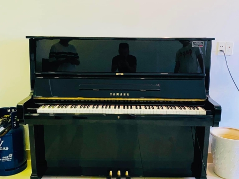 Bộ Sưu Tập Nhà Khách 