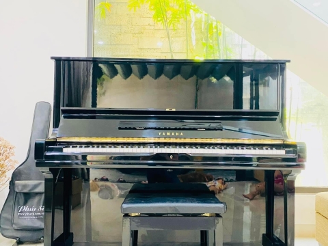 Bộ Sưu Tập Nhà Khách 