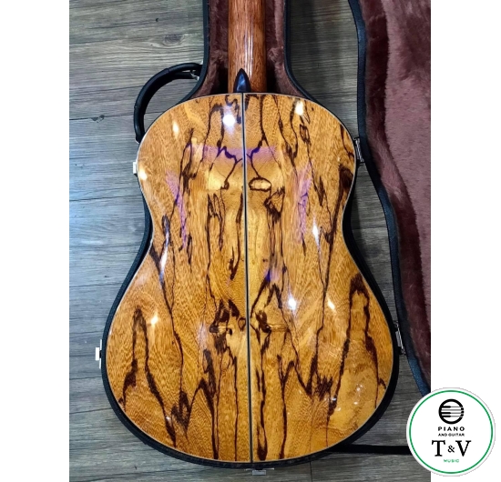 Guitar C050