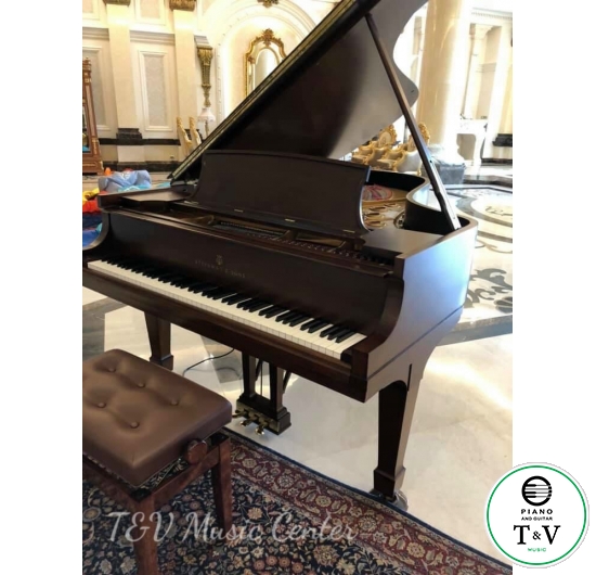 Steinway&Son B Series 428167