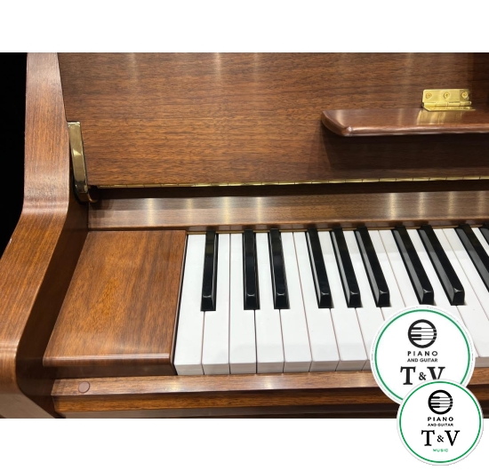 Yamaha U3 ( Wood ) ( Brand New )