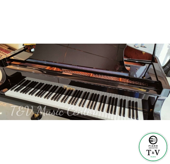 Boston GP-215PE( Brand New )