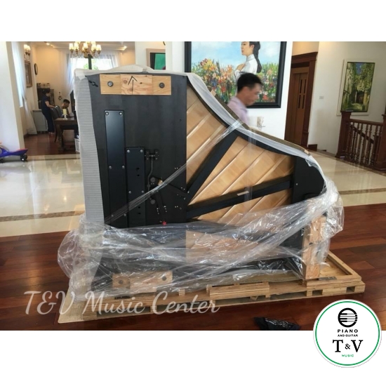 Boston GP-178PE II(Brand New )