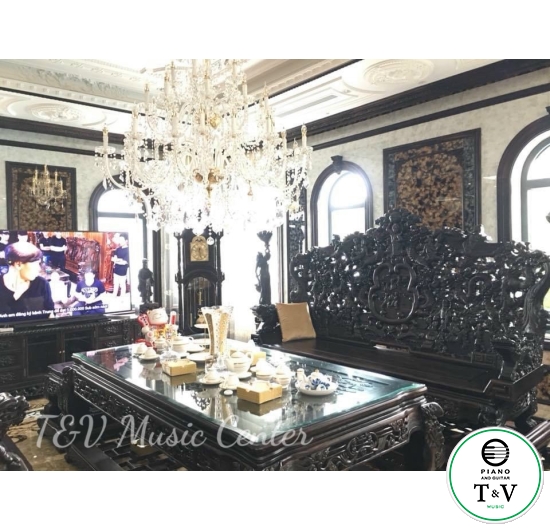 Boston GP-215PE( Brand New )