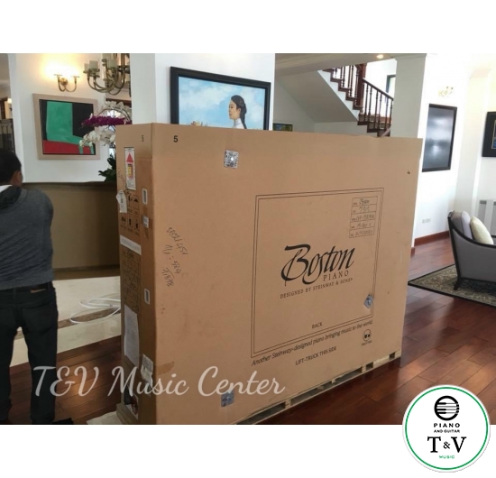 Boston GP-178PE II(Brand New )