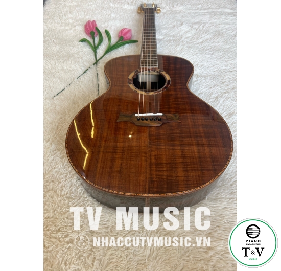 Acoustic Guitar GB-25