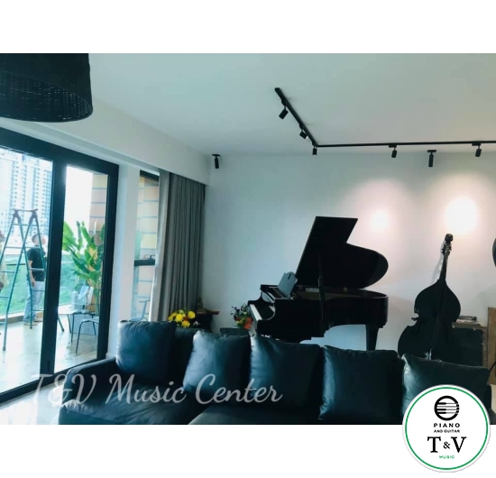 Grand Dipason 171-BG