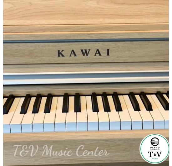 Kawai CA49LO