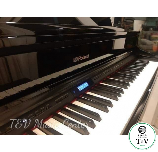 Roland GP-609(PE)(Brand New)