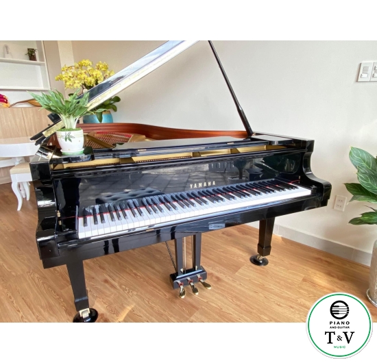 Yamaha Grand C7B(1) 