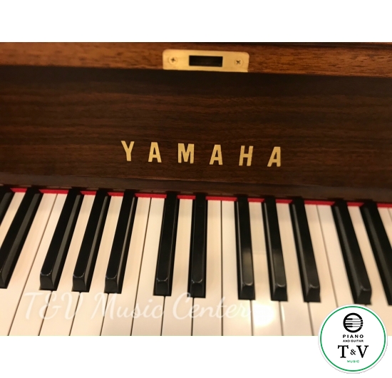 Yamaha W101