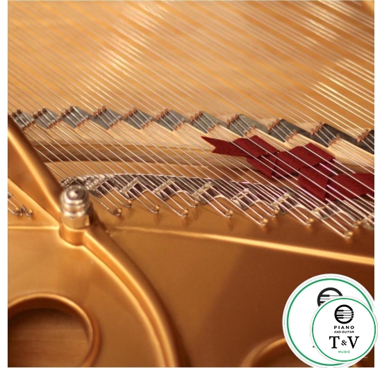 Steinway&Son Model B( Louis XV )