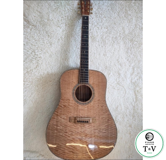 Guitar A120