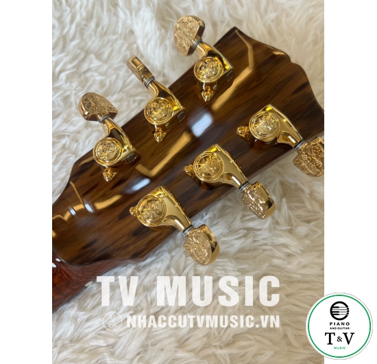 Acoustic Guitar GB-25