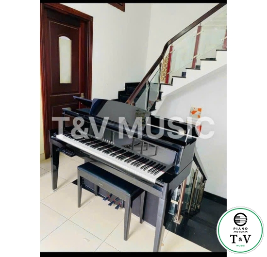 Yamaha N1X( Hybrid )