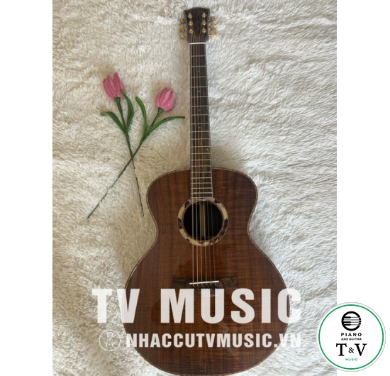 Acoustic Guitar GB-25