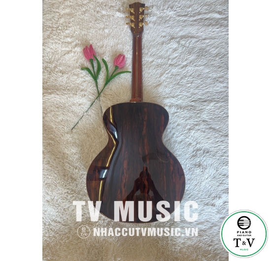 Acoustic Guitar GB-25