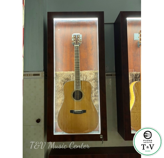 Guitar A045( D-Martin)