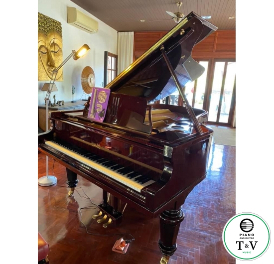 Grand Geogre Sterk ( GS208-HLBC)