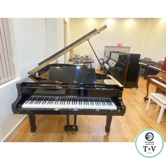 Grand Yamaha G5(B)