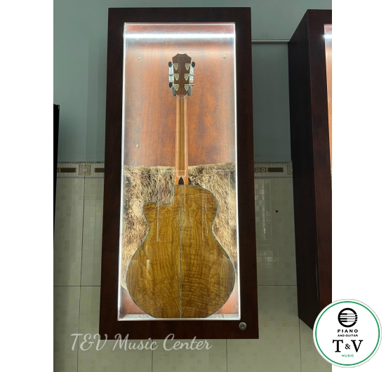 Acoustic Guitar A010(1)