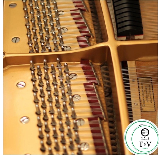 Steinway&Son Model B( Louis XV )