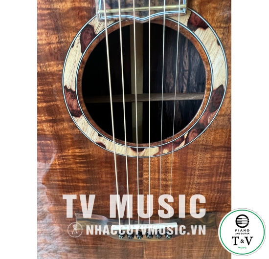 Acoustic Guitar GB-25