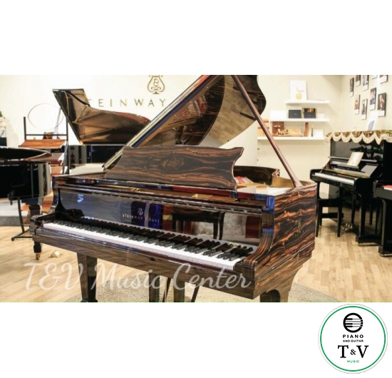 Steinway&Son ( Maccasar Ebony ) 