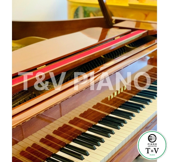 Yamaha G3E ( Mahogany )