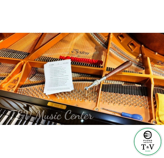 Boston GP-215PE( Brand New )