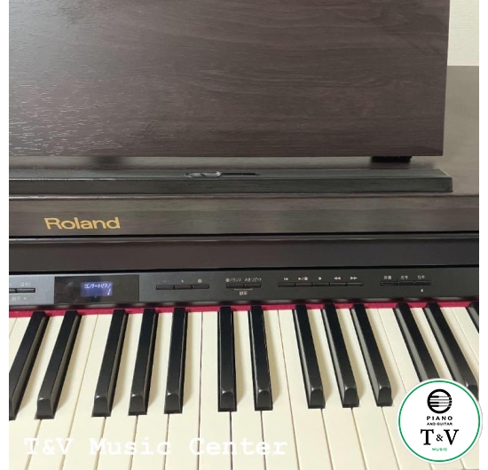 Roland HP-504( Rosewood )