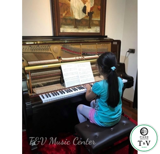 Kawai US-8X Series A38498