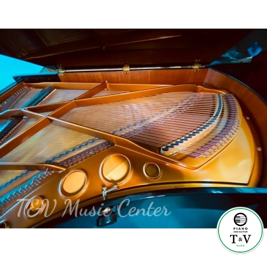 Bösendorfer Model 290 SR 41268-8007