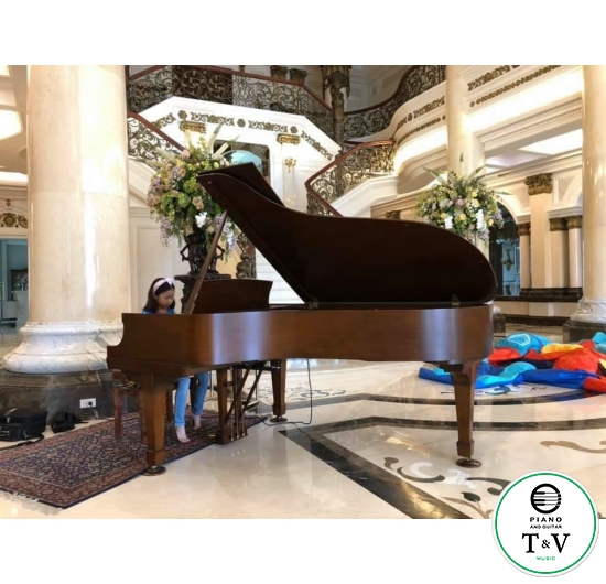 Steinway&Son B Series 428167