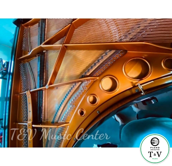 Bösendorfer Model 290 SR 41268-8007