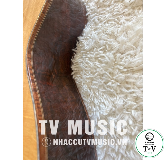 Guitar Acoustic OM-10