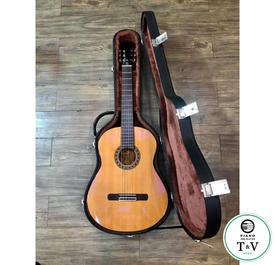 Guitar C050