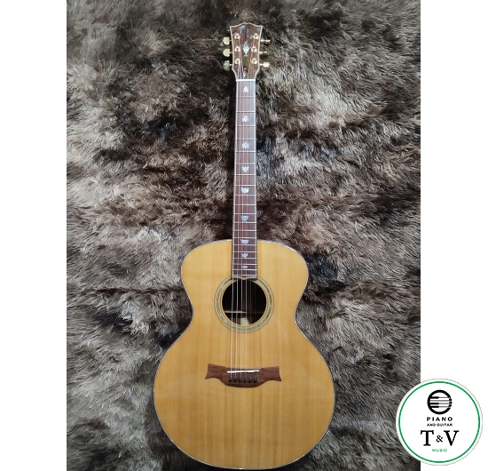 Guitar A050